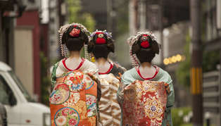 Cultural Journey through Japan